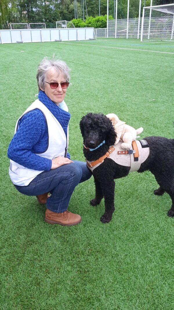 Prad'Herm - Harnais pour chien-guide – Image 5